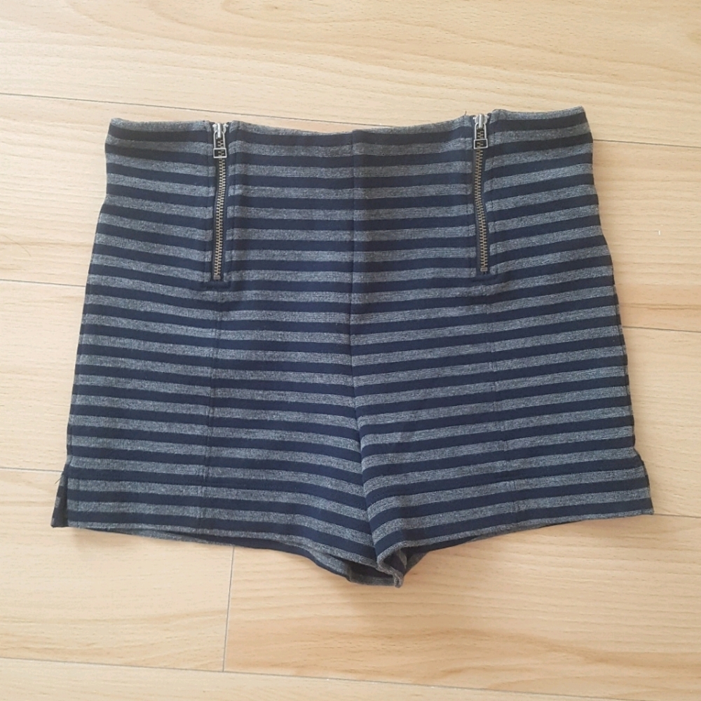 Aritzia Shorts
